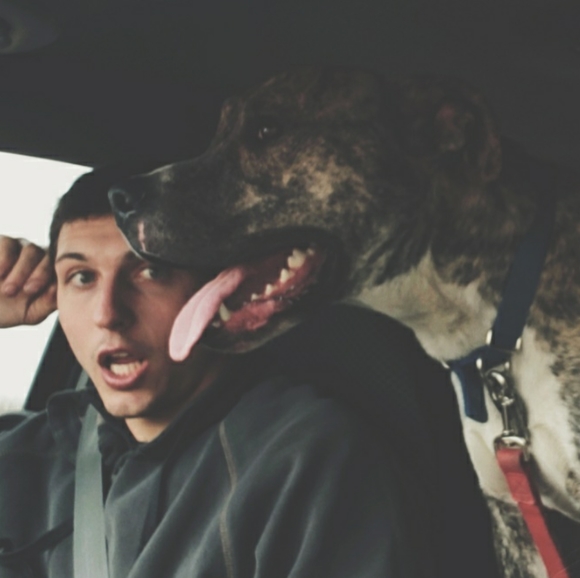 Meet your Posher, Taryn - Picture 1 of 1